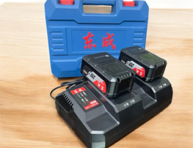 Sạc đôi Dongcheng 20V-4A FFCL20-03
